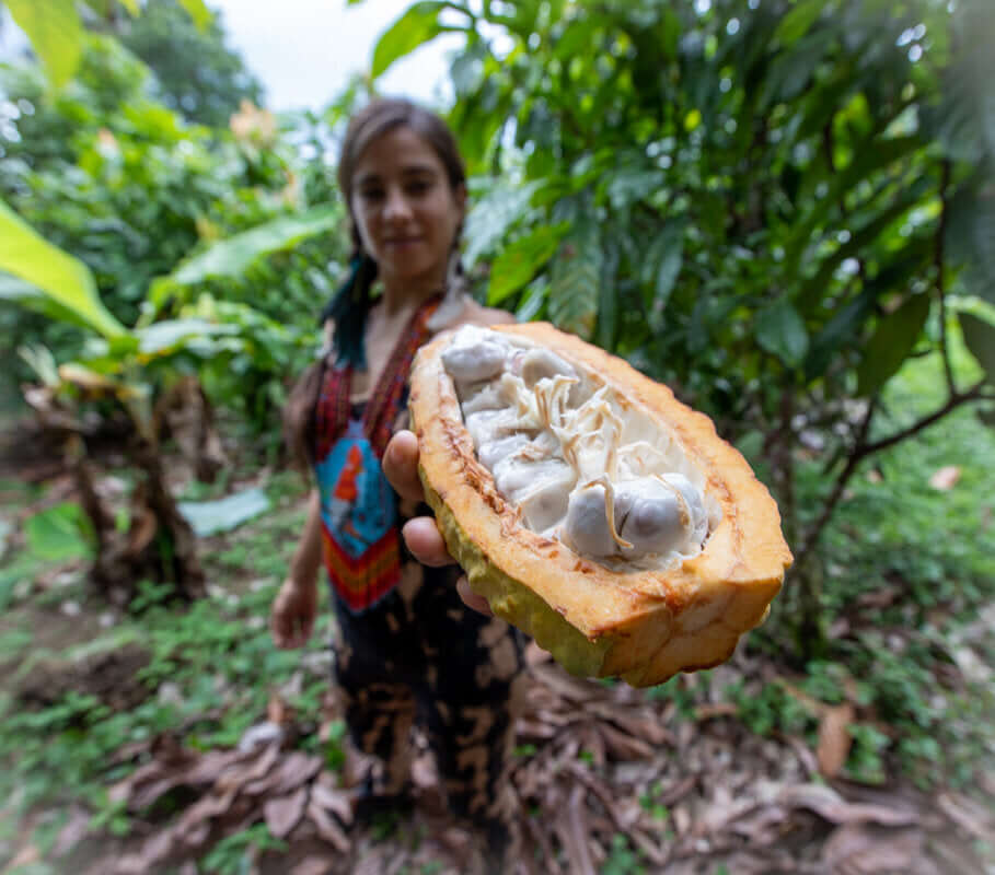 Ecuador Chocolate
