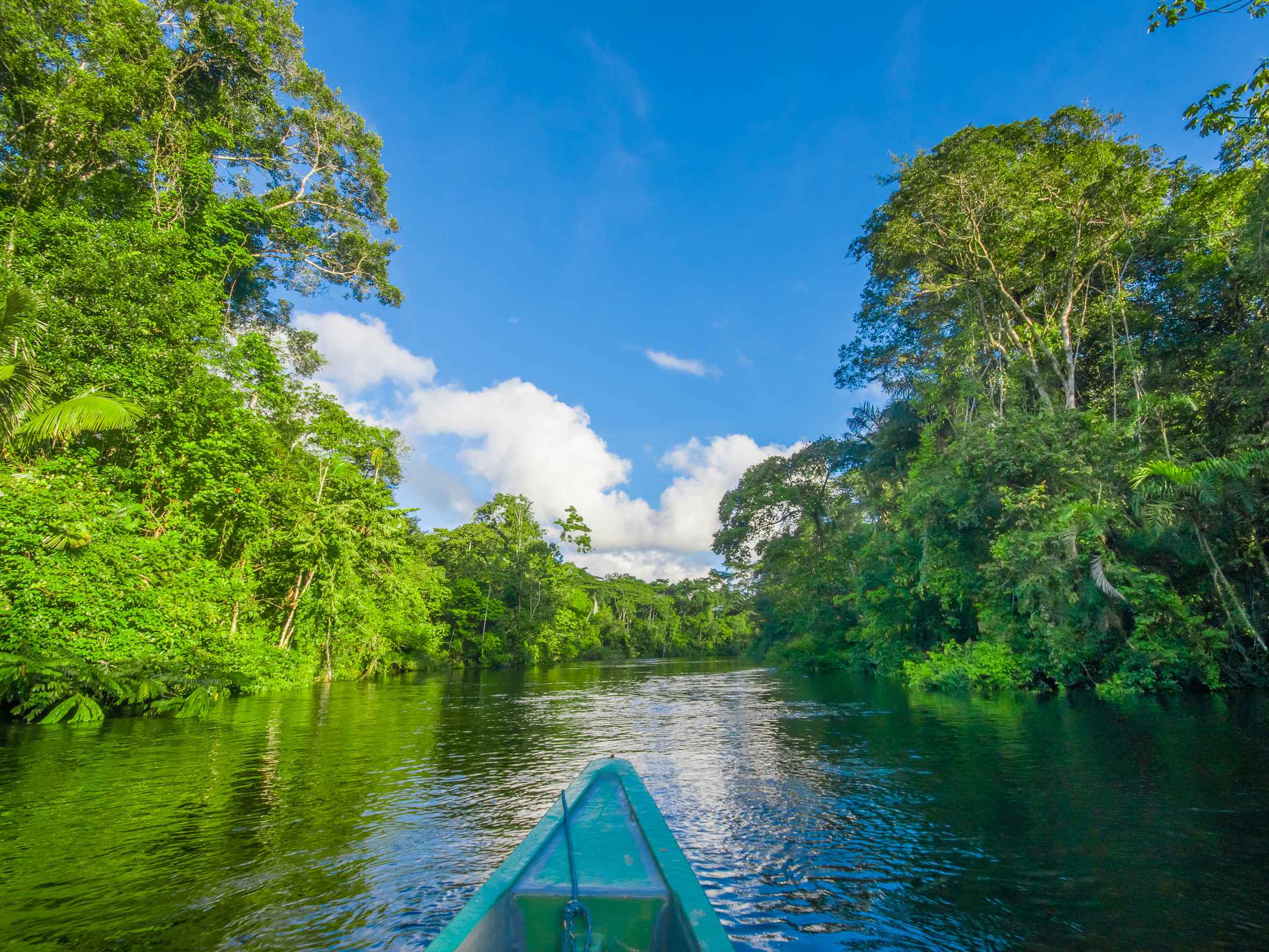 Boat Journey Through Ecuador's Amazon Jungle
