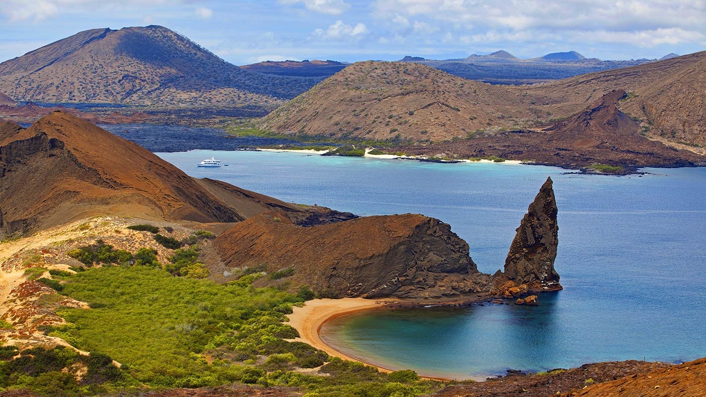 Giant Tortoise - Galapagos Islands