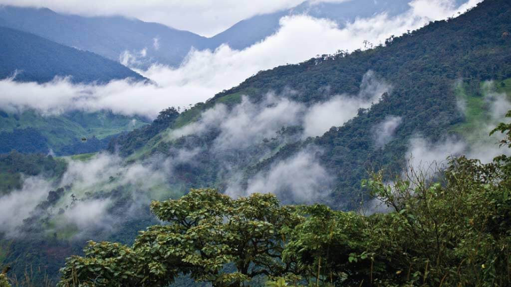 Mindo Cloud Forest