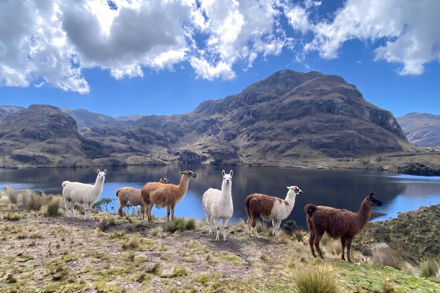 View Of Cajas National Park