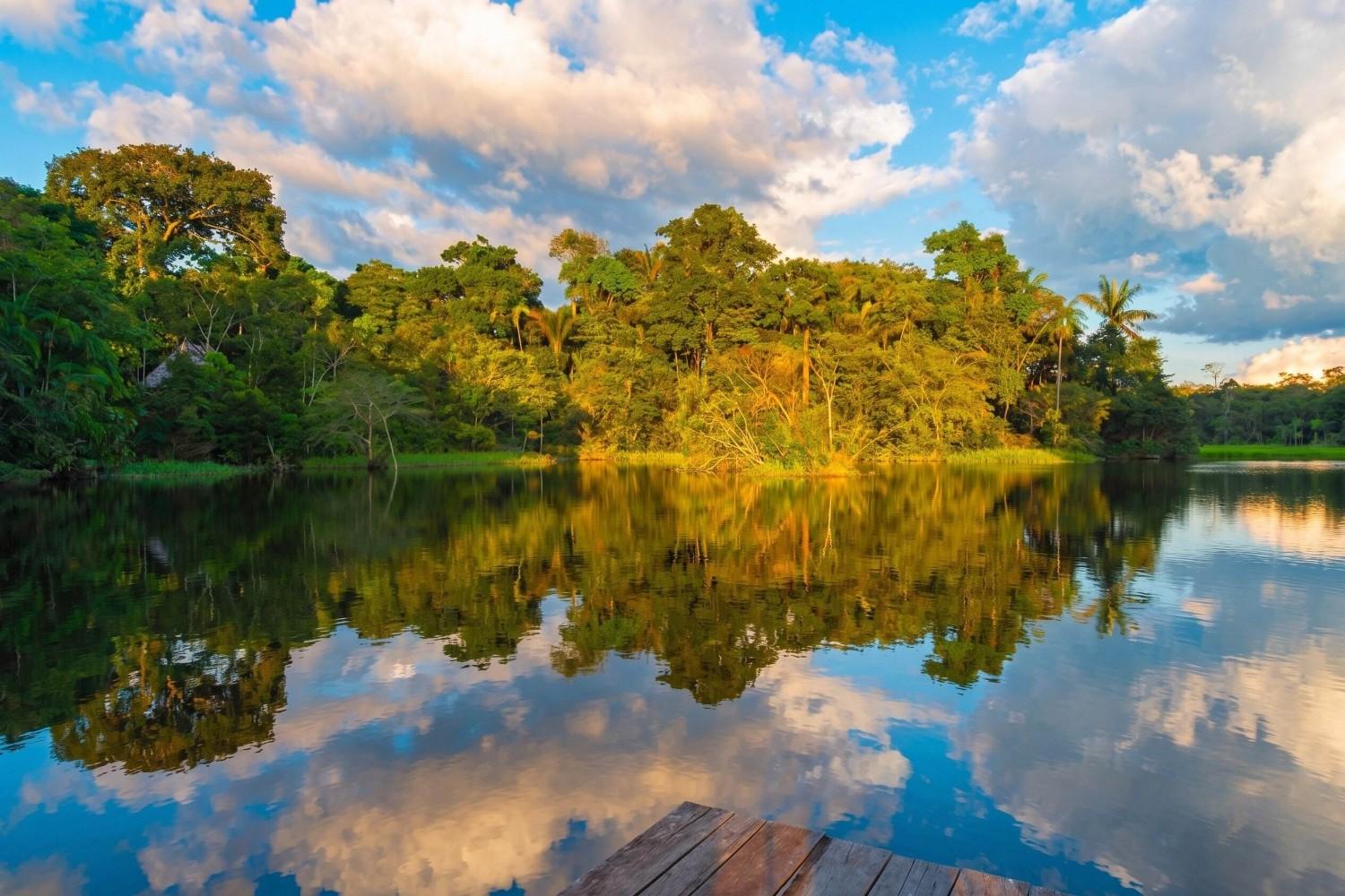 Yasuni National Park Ecuador